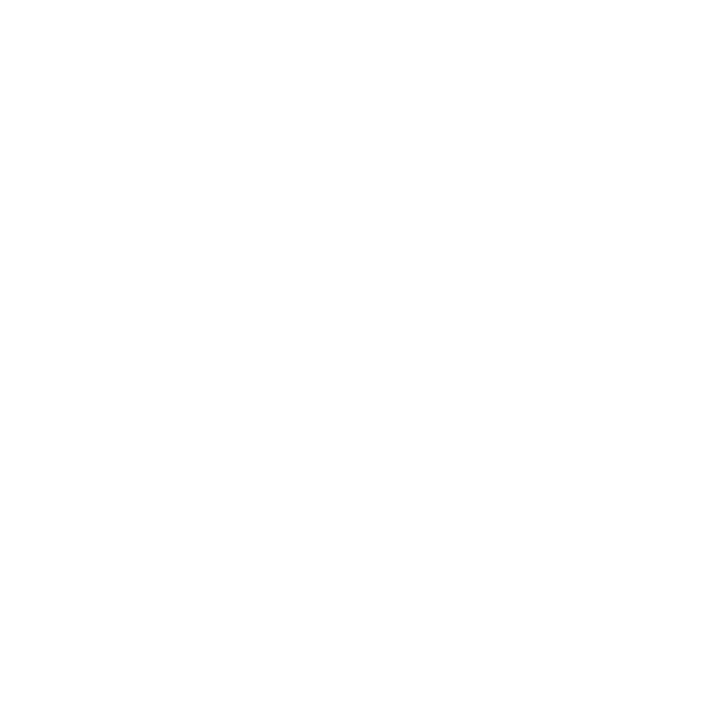 مدونة عفيفة حمزة 